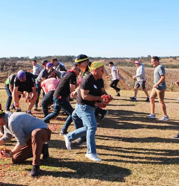Wine Olympics Team Building Pinnacle Team Events