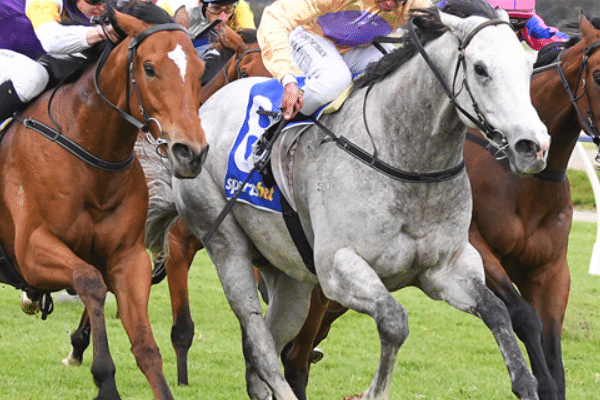 Content Image Night at the Races - Horses 01