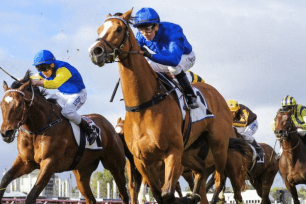 Gallery Image Night at the Races - horses 01