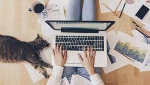 Virtual Team Building Pinnacle Team Events