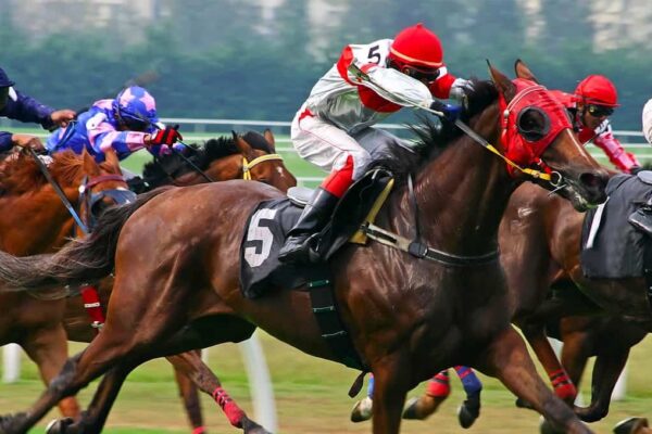 Night at the Races Team Building Pinnacle Team Events