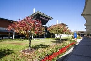 Australian Turf Club Rosehill Racecourse Corporate Team Building Event Venue