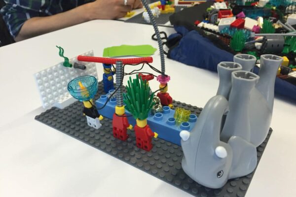 Lego® Serious Play® Model