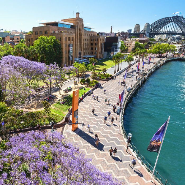 The Rocks in Sydney