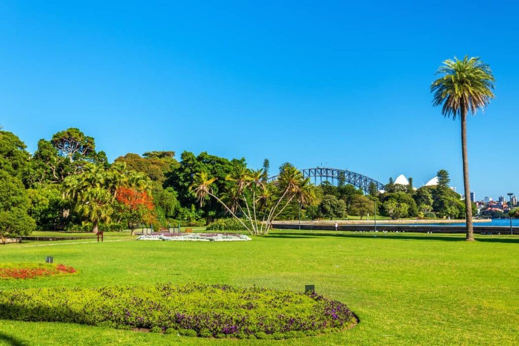 how-to-organise-a-team-building-event-in-sydney-pinnacle