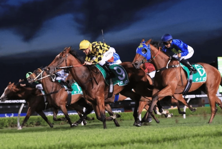 Night at the Races - Canterbury Night Racing