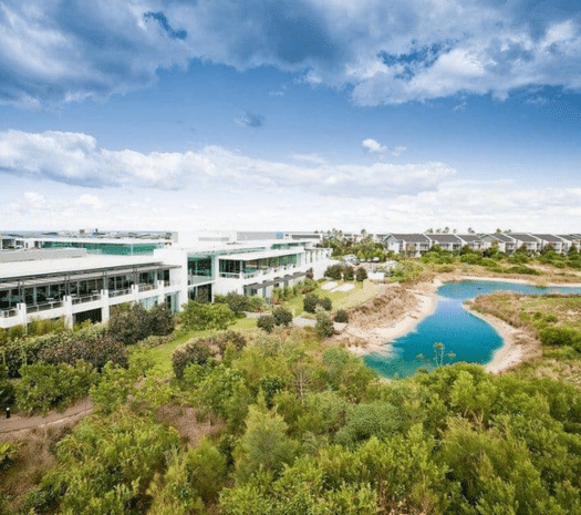 Pullman Magenta Shores