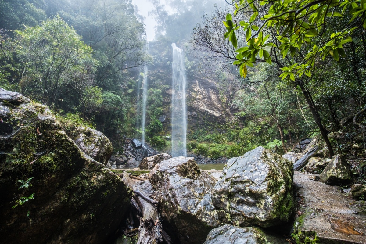 Springbrook