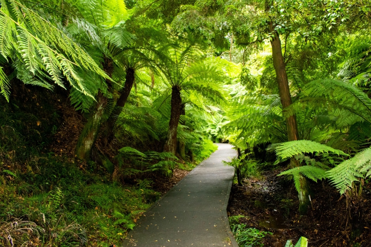 National Botanic Gardens
